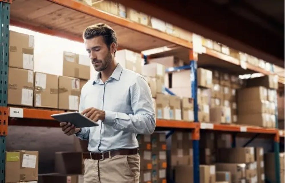 What is a TMS software and how does Delego optimize logistics?